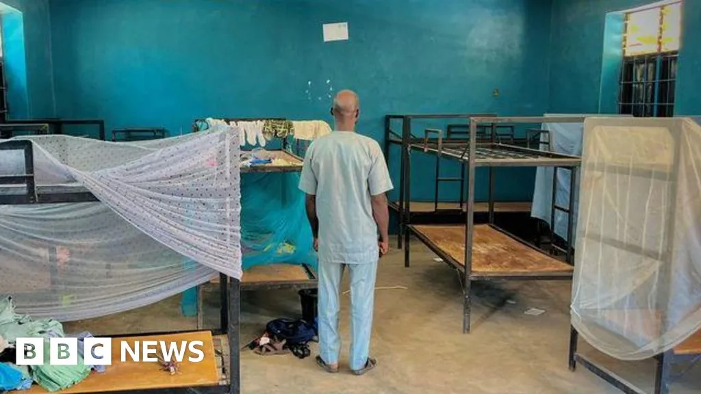 0f6535f0 C93b 11f0 A414 099360380435