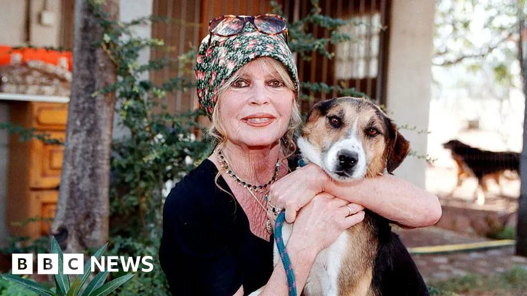 62c21d50 E56d 11f0 978a 3510e7b058d9