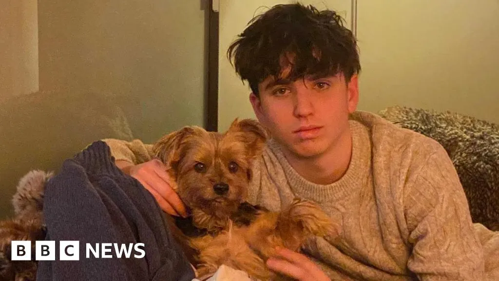 E6b33050 E7e7 11f0 B44a 2d5156cff513