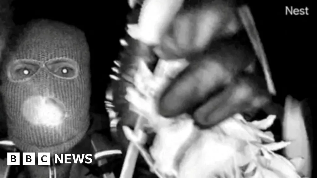 2a7c5500 0aac 11f1 B5e2 Dd58fc65f0f6