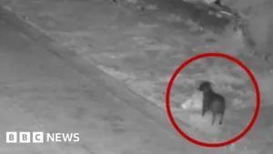 3b795c80 0e5e 11f1 9120 A910fc22c6ac