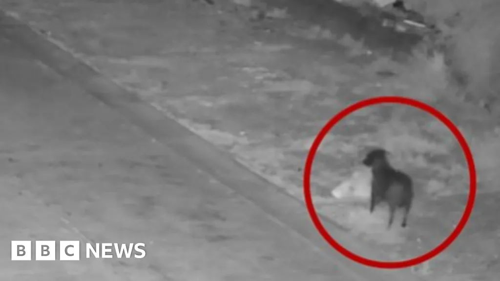 3b795c80 0e5e 11f1 9120 A910fc22c6ac