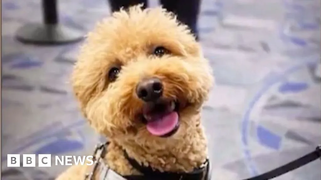 Bedd7b50 0e73 11f1 801d Ed3cff6bf876